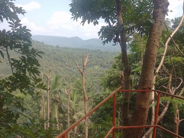 Land for sale in Thrissur