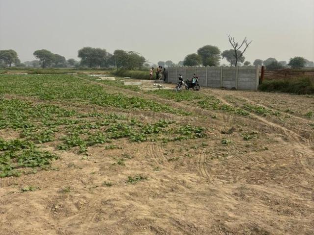 Land for sale in Mathara, Arunachal Pradesh