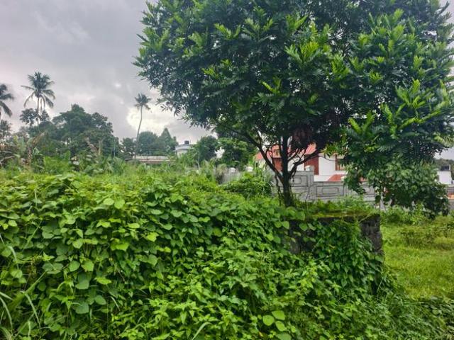 Land for sale in Kerala