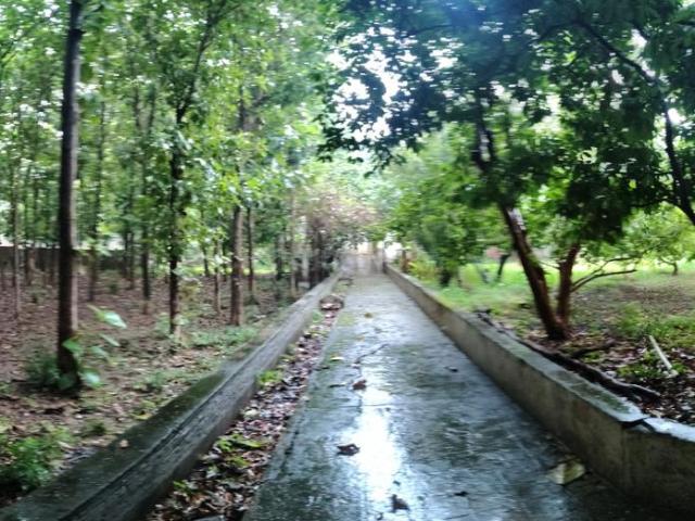 Land for sale in Rajasthan
