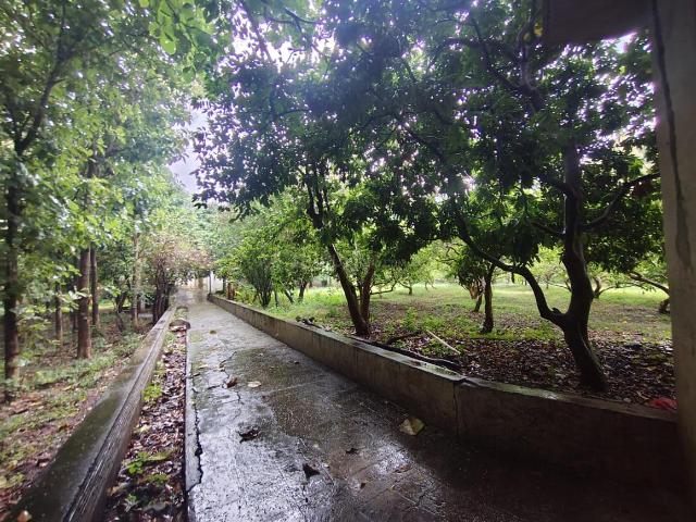 Land for sale in Galera, Udaipur