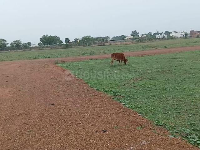 Land for sale in Bhilai, Durg