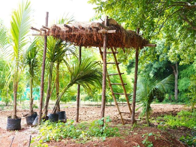 Land for sale in Kokapet, Ranga Reddy