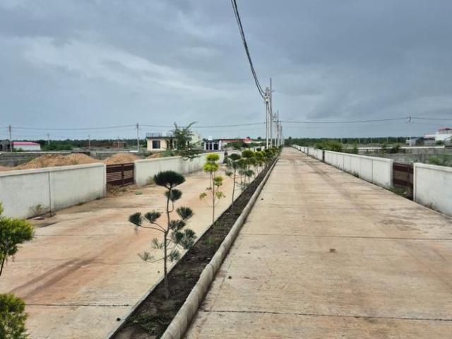 Land for sale in Madya