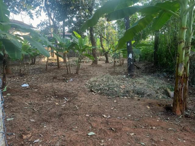 Land for sale in Thrissur, Kerala