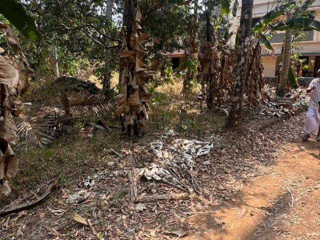 Land for sale in Thrissur, Kerala