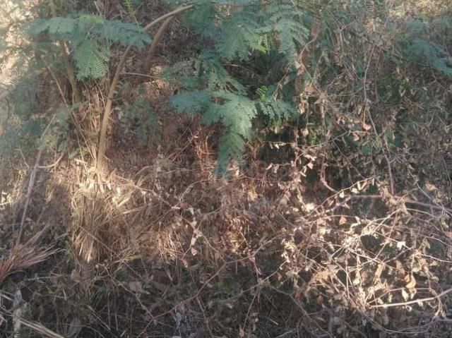Land for sale in Telangana