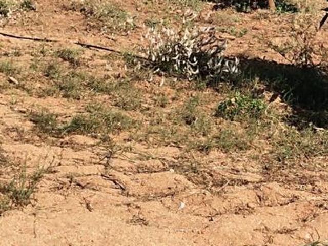 Land for sale in Telangana