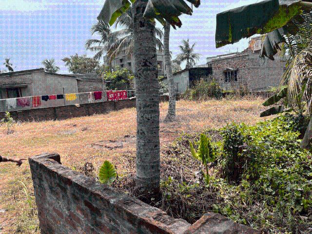 Land for sale in Hooghly, Kanaipur
