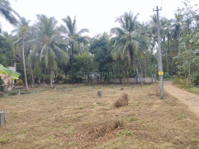 Land for sale in Palakkad, Kerala