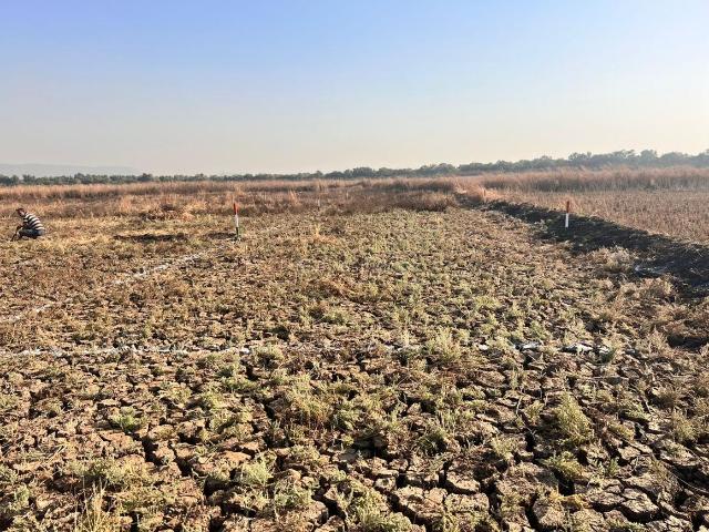 Land for sale in National Capital Territory Of Delhi