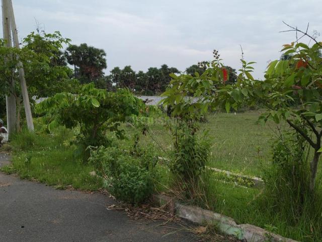 Land for sale in Andhra Pradesh