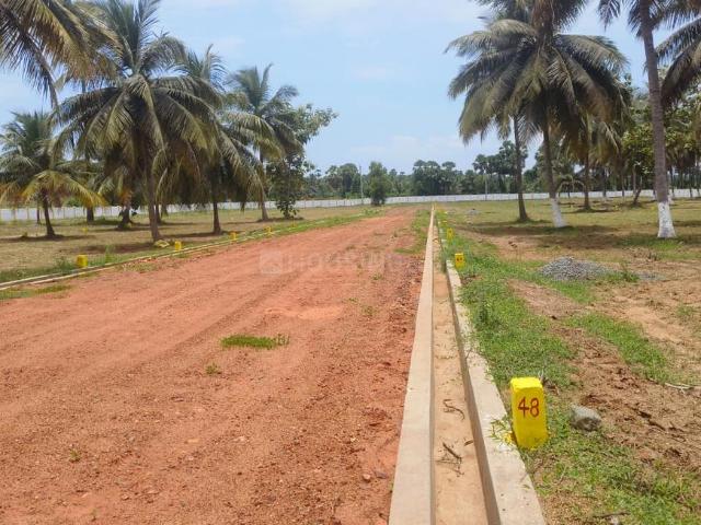 Land for sale in Kothavalasa (CT), Kothavalasa