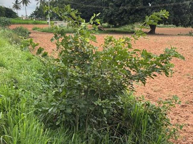 Land for sale in Bangalore East, Cox Town - Bangalore