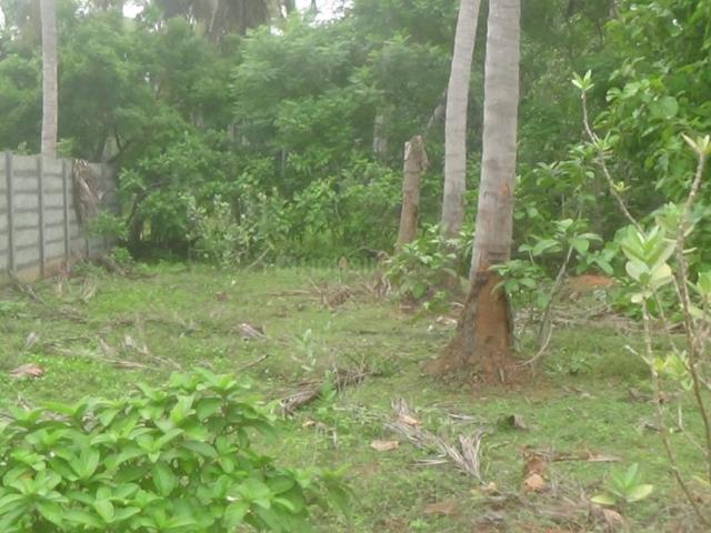 Land for sale in Vanur, Tamil Nadu