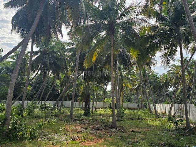 Land for sale in Vanur, Tamil Nadu
