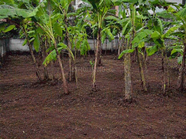 Land for sale in Kottappuram, Thrissur