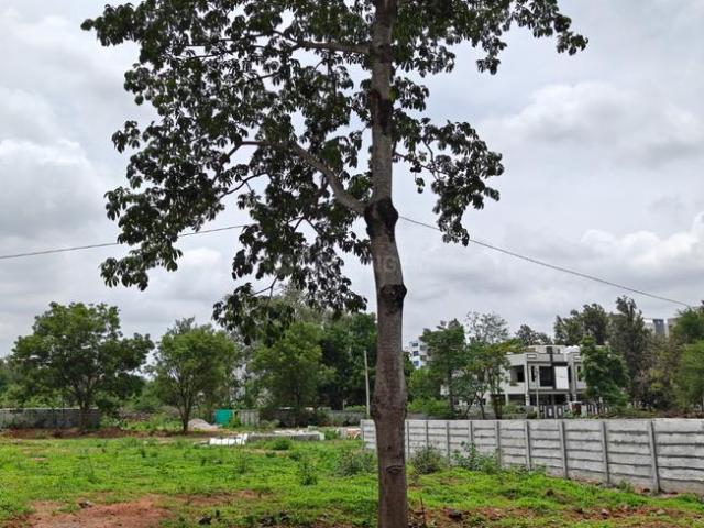 Land for sale in Haidarabad, Telangana
