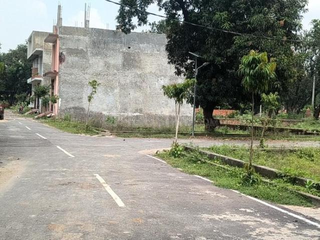 Land for sale in Lakhana, Arunachal Pradesh