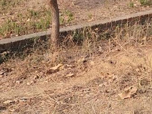 Land for sale in Gandhinagar