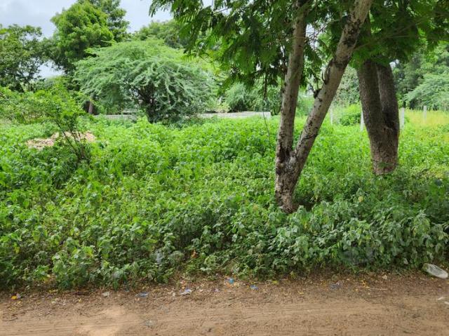 Land for sale in Gandhinagar