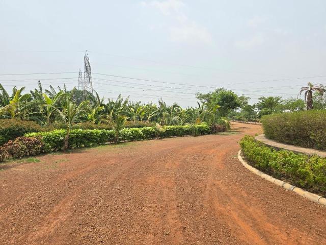 Land for sale in Kumhari, Chhattisgarh