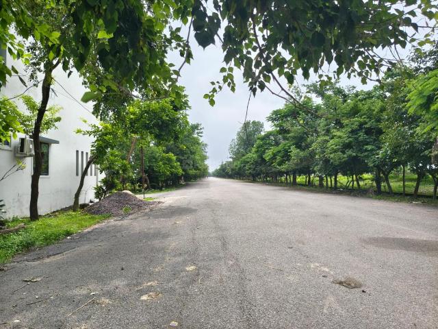Land for sale in Kumhari, Durg