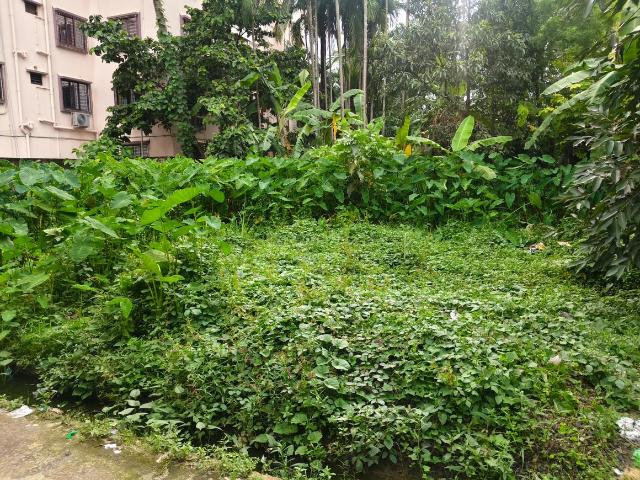 Land for sale in Bihar