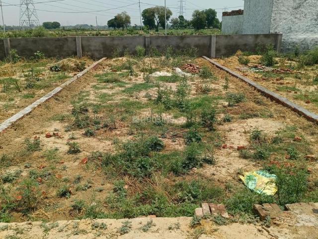 Land for sale in Tora, Arunachal Pradesh
