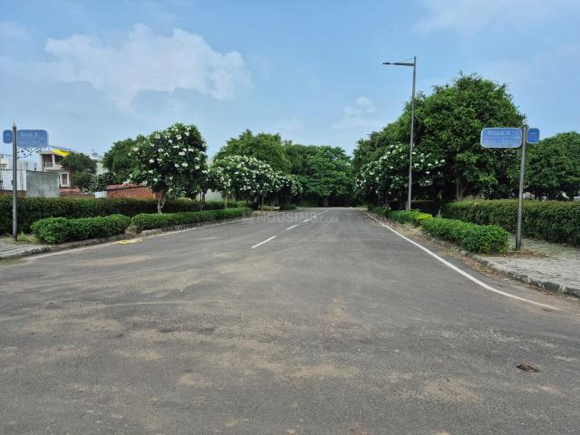 Land for sale in Padiala, Sahibzada Ajit Singh Nagar