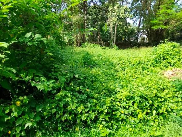 Land for sale in Thrissur, Kerala