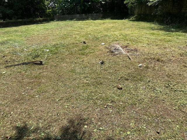 Land for sale in Kuriyachira, Thrissur
