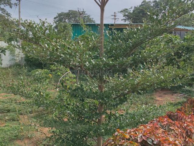 Land for sale in Podanur, Tamil Nadu