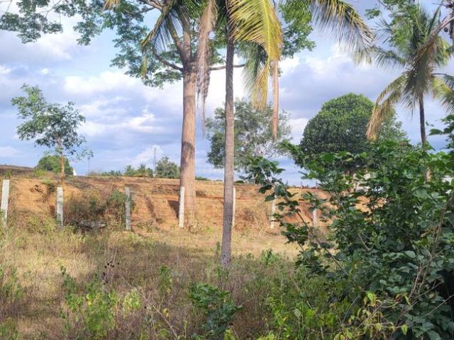 Land for sale in Bangalore South, Karnataka