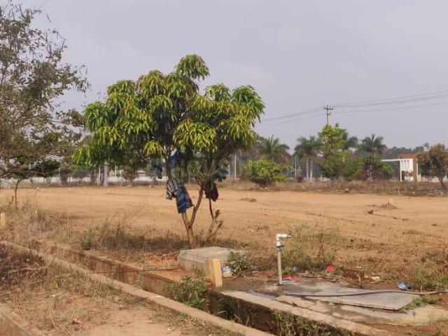 Land for sale in Sarjapur, Karnataka