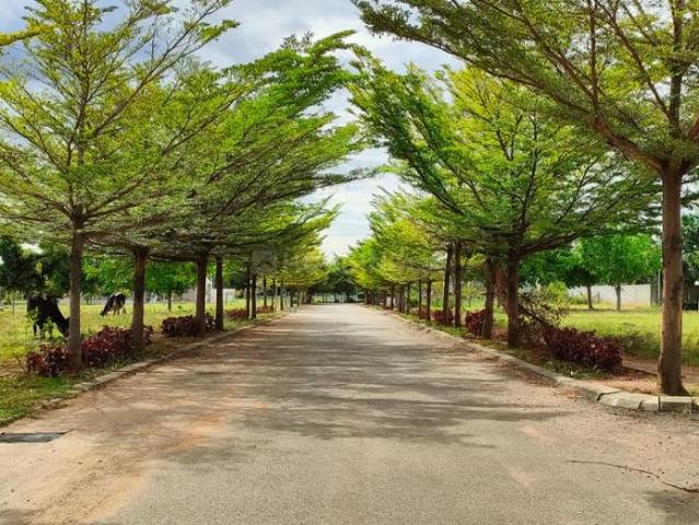 Land for sale in Sarjapur, Karnataka