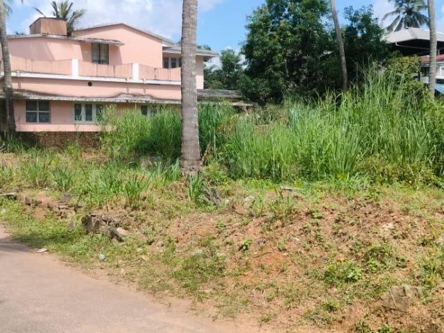 Land for sale in Thrissur, Kerala