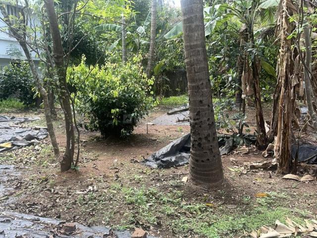 Land for sale in Thrissur, Kerala