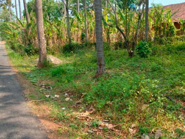 Land for sale in Thrissur, Kerala