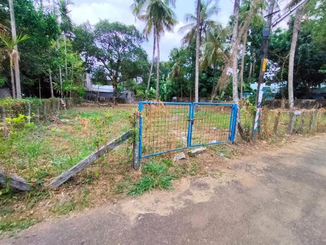 Land for sale in Thrissur, Kerala