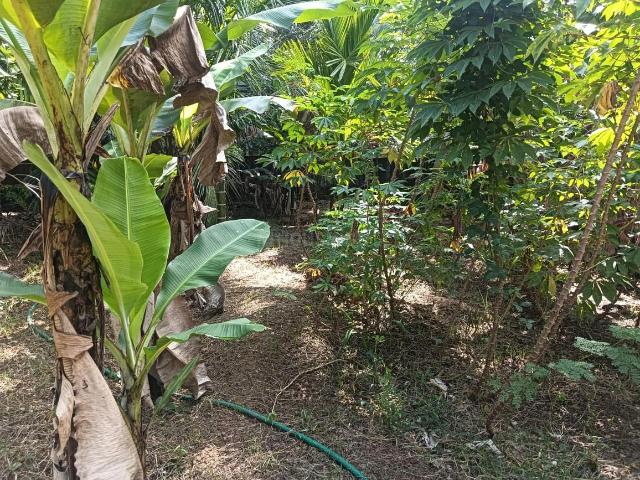 Land for sale in Thrissur, Kerala