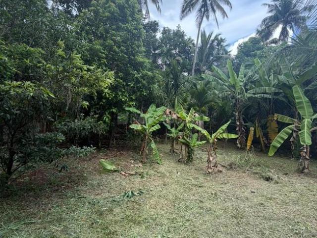 Land for sale in Thrissur