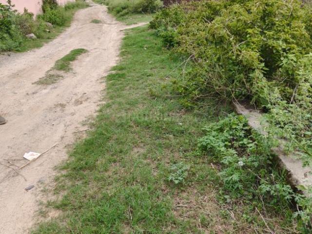 Land for sale in IDPL Colony, Virbhadra