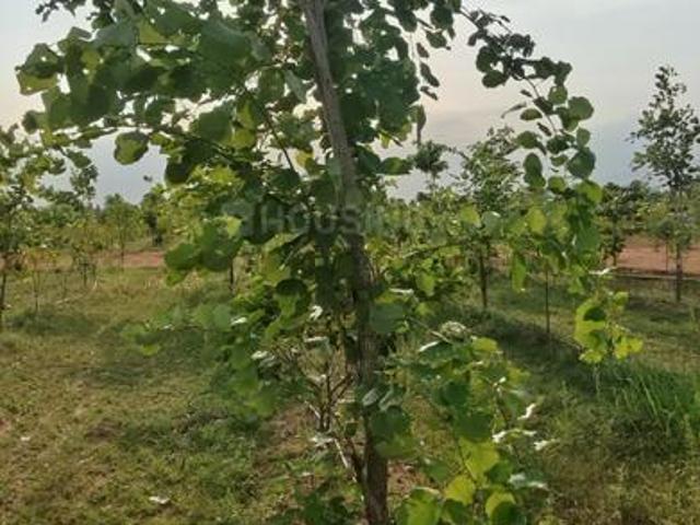 Land for sale in Lakkavarapukota, Andhra Pradesh