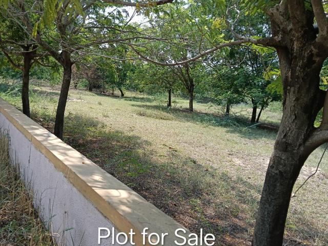 Land for sale in Mahesana, Gujarat