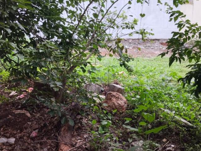Land for sale in Bangalore South, Cox Town - Bangalore