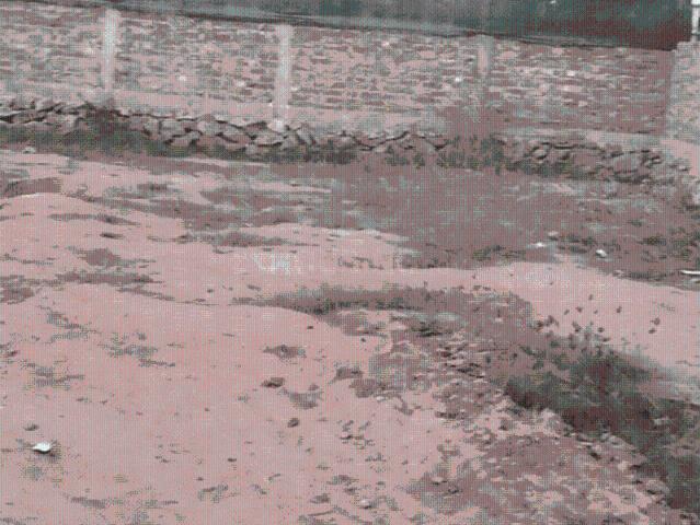 Land for sale in Assam