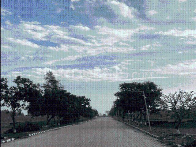 Land for sale in Punjab
