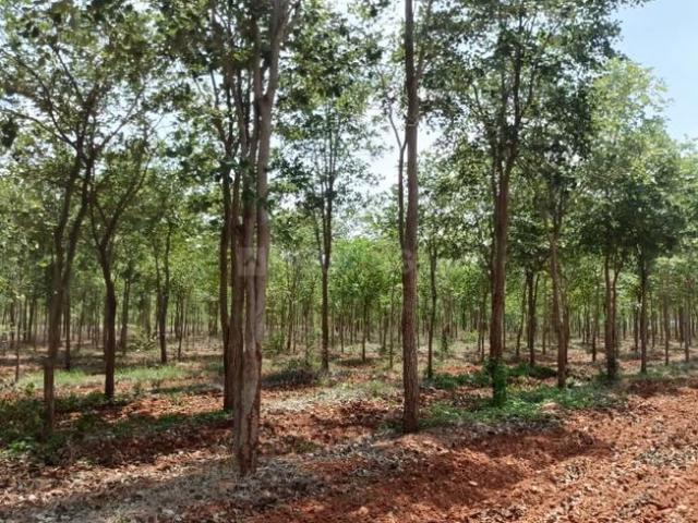 Land for sale in Greater Hyderabad Municipal Corporation East Zone, Hyderabad