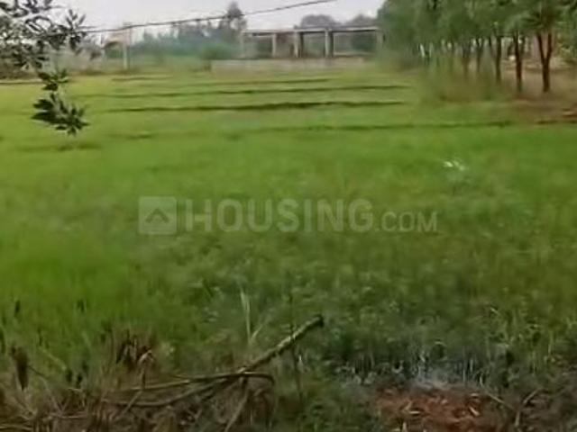 Land for sale in Bhubaneswar